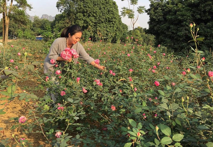 Bí quyết giúp hoa tươi khi kinh doanh hoa tươi