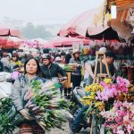 Các nguồn hàng hoa tươi phổ biến nhất