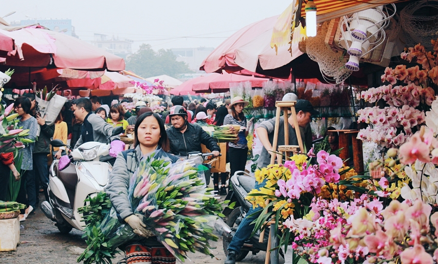 Các nguồn hàng hoa tươi phổ biến nhất