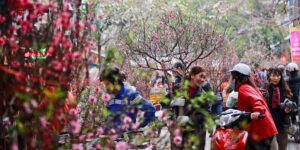 Các mặt hàng Tết bán chạy nhất năm 2019