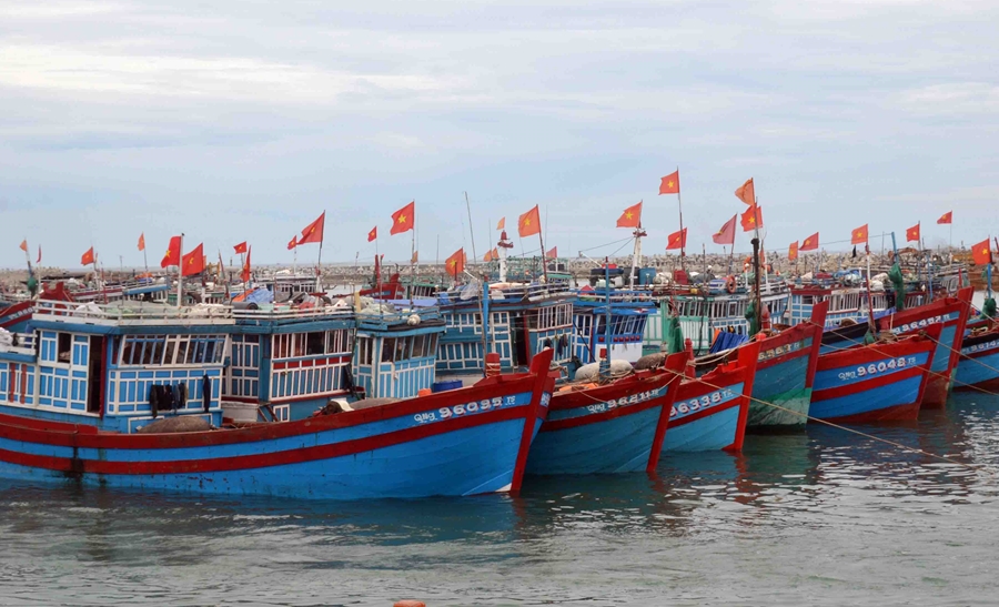 Kinh nghiệm kinh doanh hải sản online hiệu quả nhất