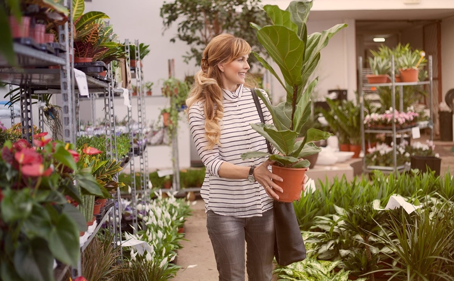 Kinh-nghiem-mo-cua-hang-kinh-doanhcay-canh-1